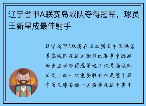 辽宁省甲A联赛岛城队夺得冠军，球员王新星成最佳射手